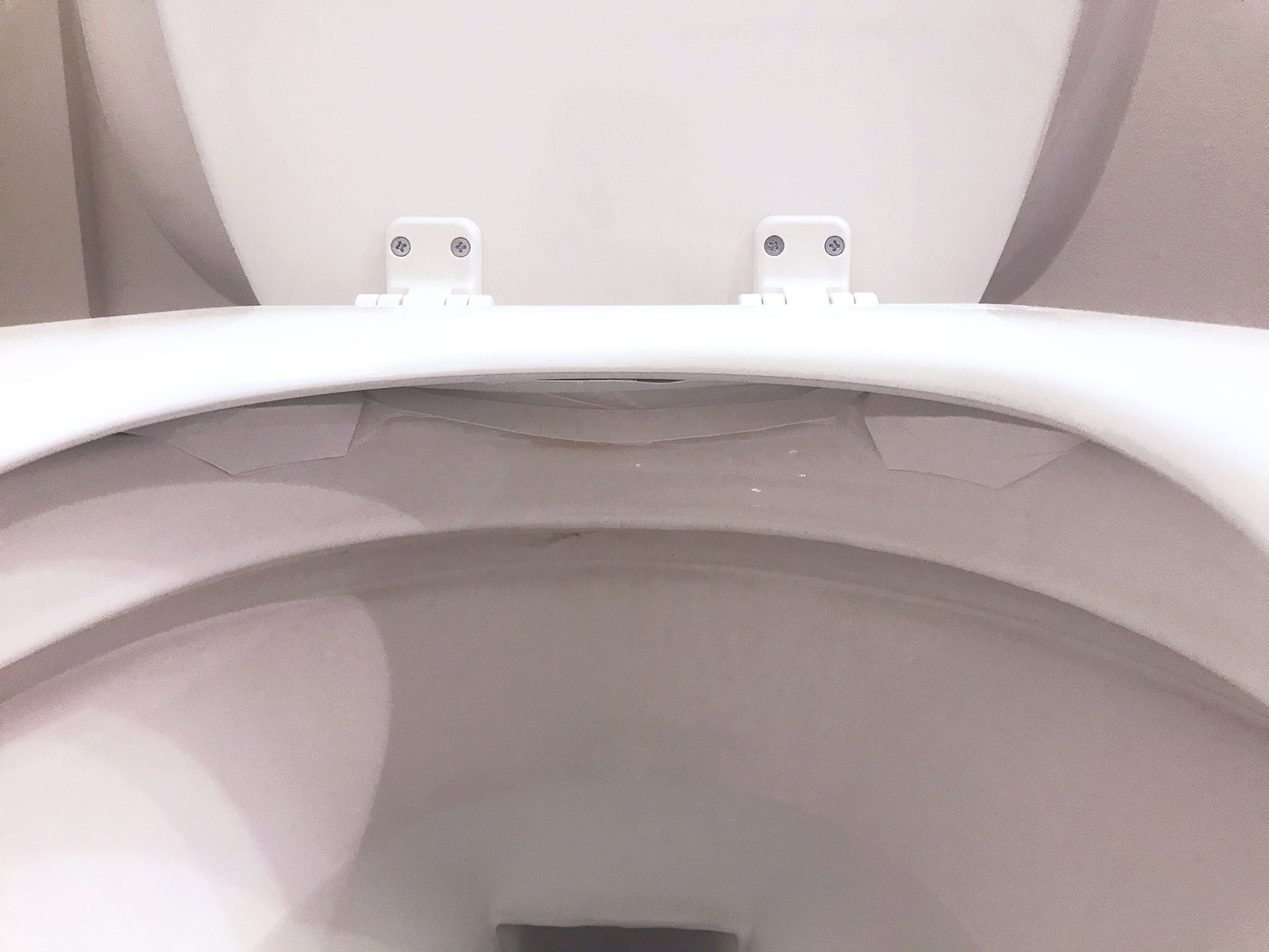 Guardian Angel toilet splash shield installed beneath toilet seat